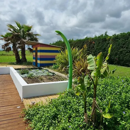 Βίλα Paisible Avec Piscine Proche Toulouse *