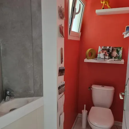 Paisible Avec Piscine Proche Toulouse