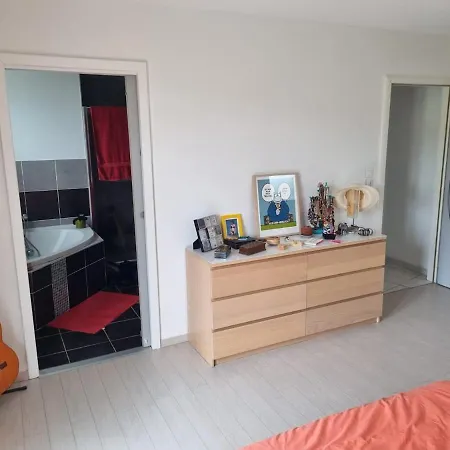 Paisible Avec Piscine Proche Toulouse Villa